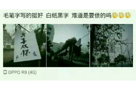 龙凤专业催债公司的市场需求和前景分析